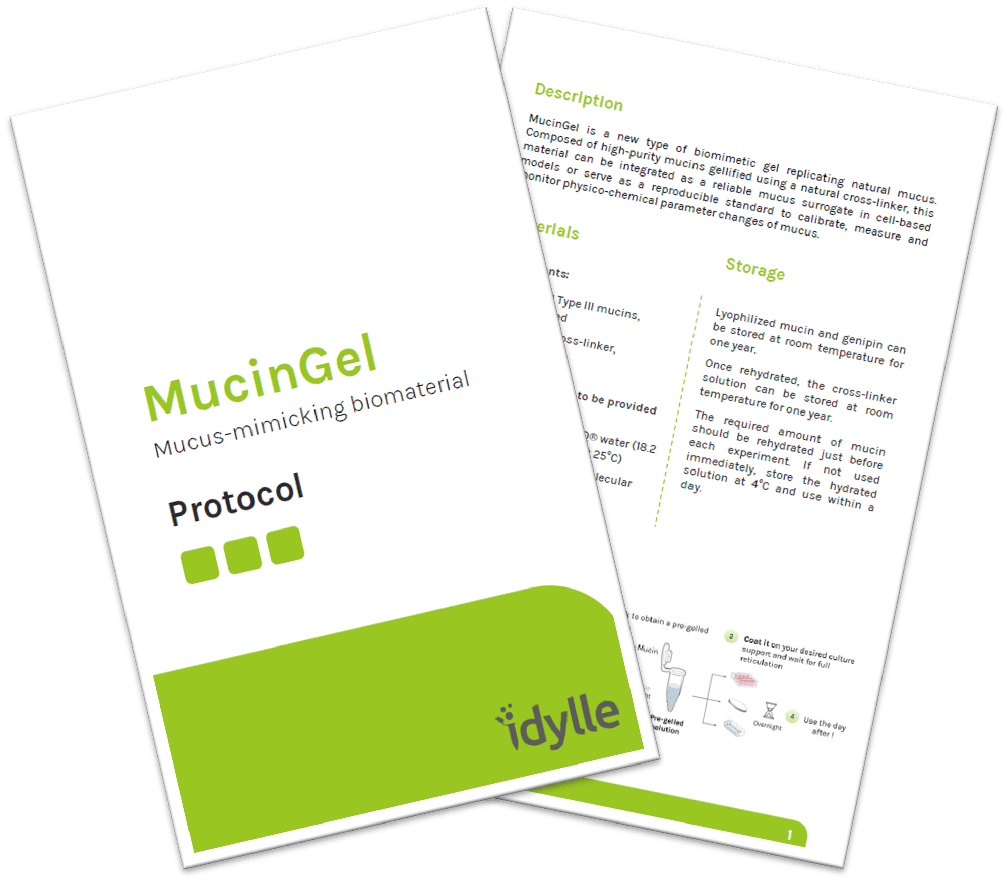 Protocol MucinGel