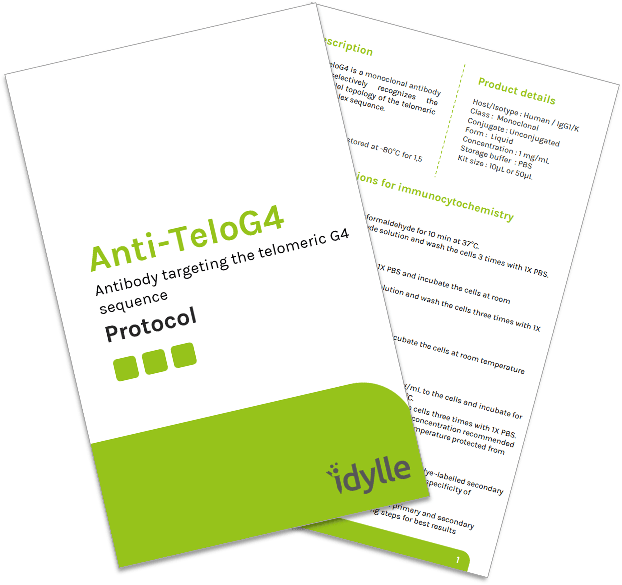 anti-teloG4_preview_protocol