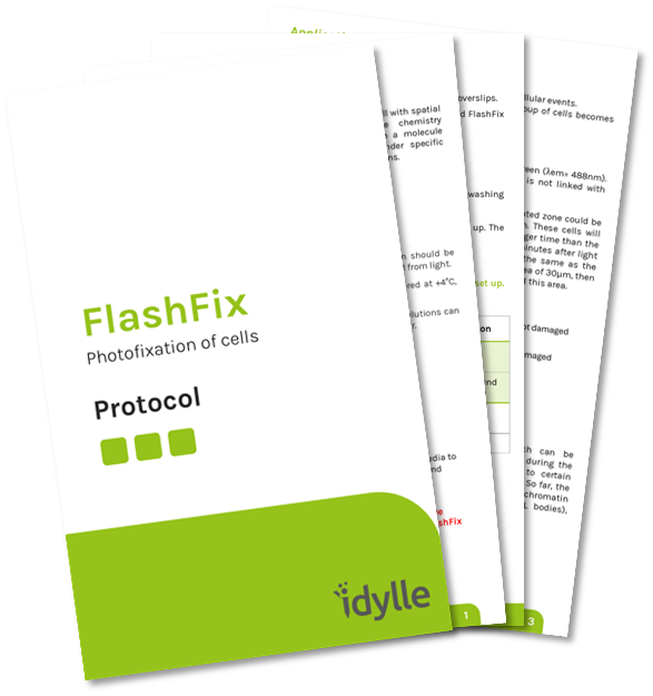 flashfix-proto-image