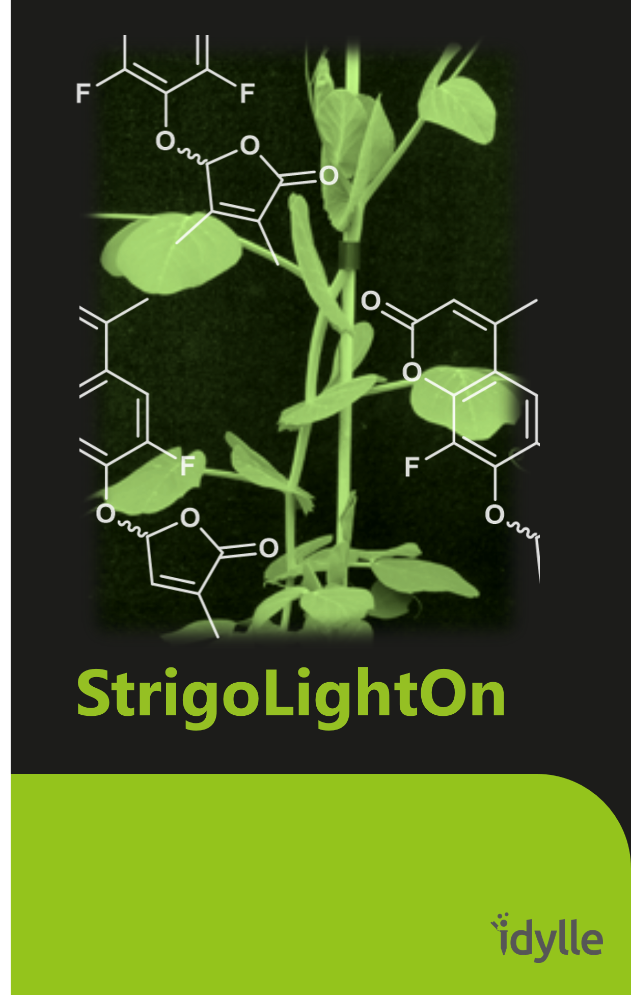 strigolighton-icone-1